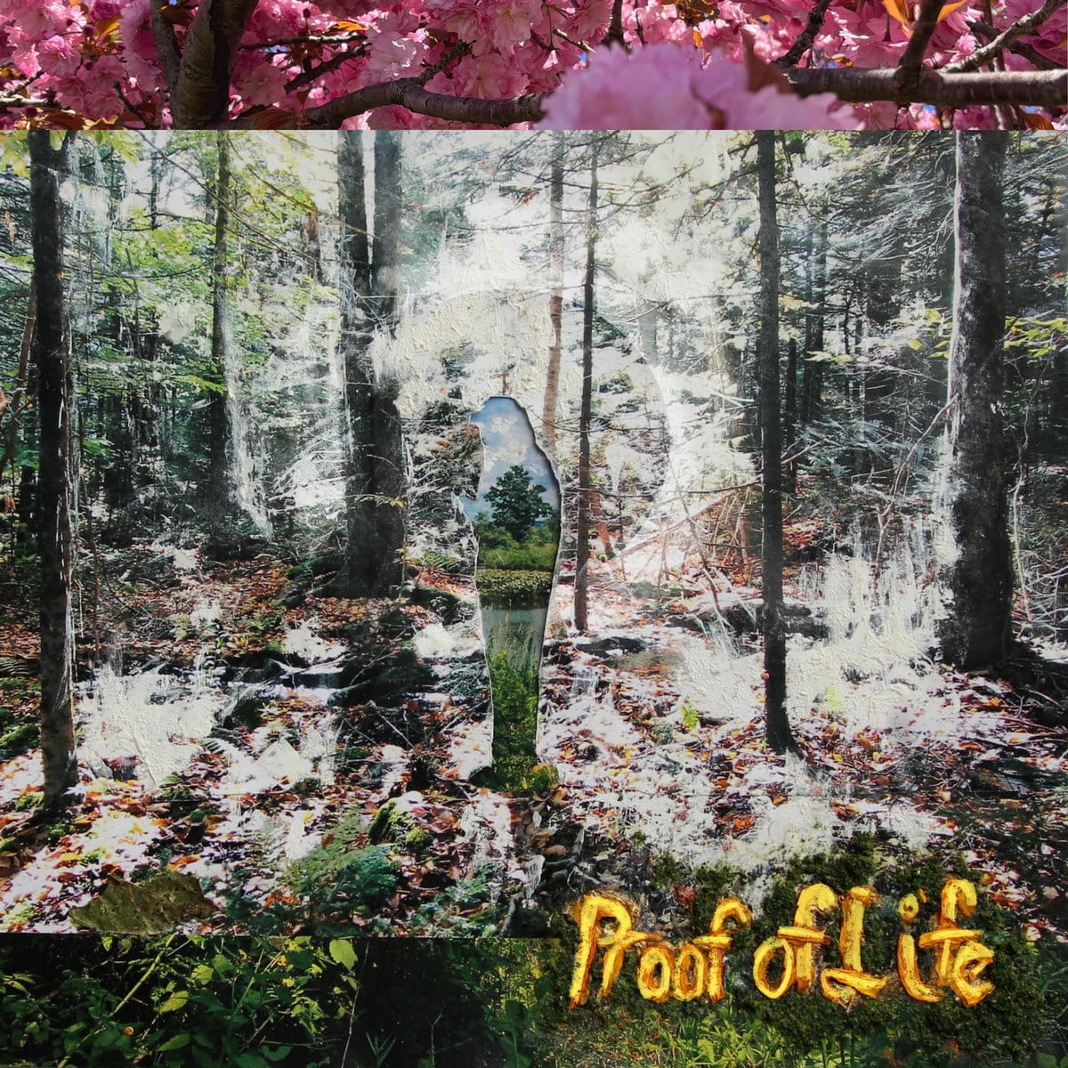 The cover art for new Cloud District EP, Proof of Life